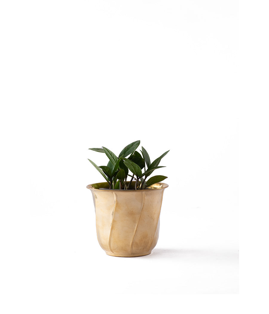 Twisted Brass Planter small