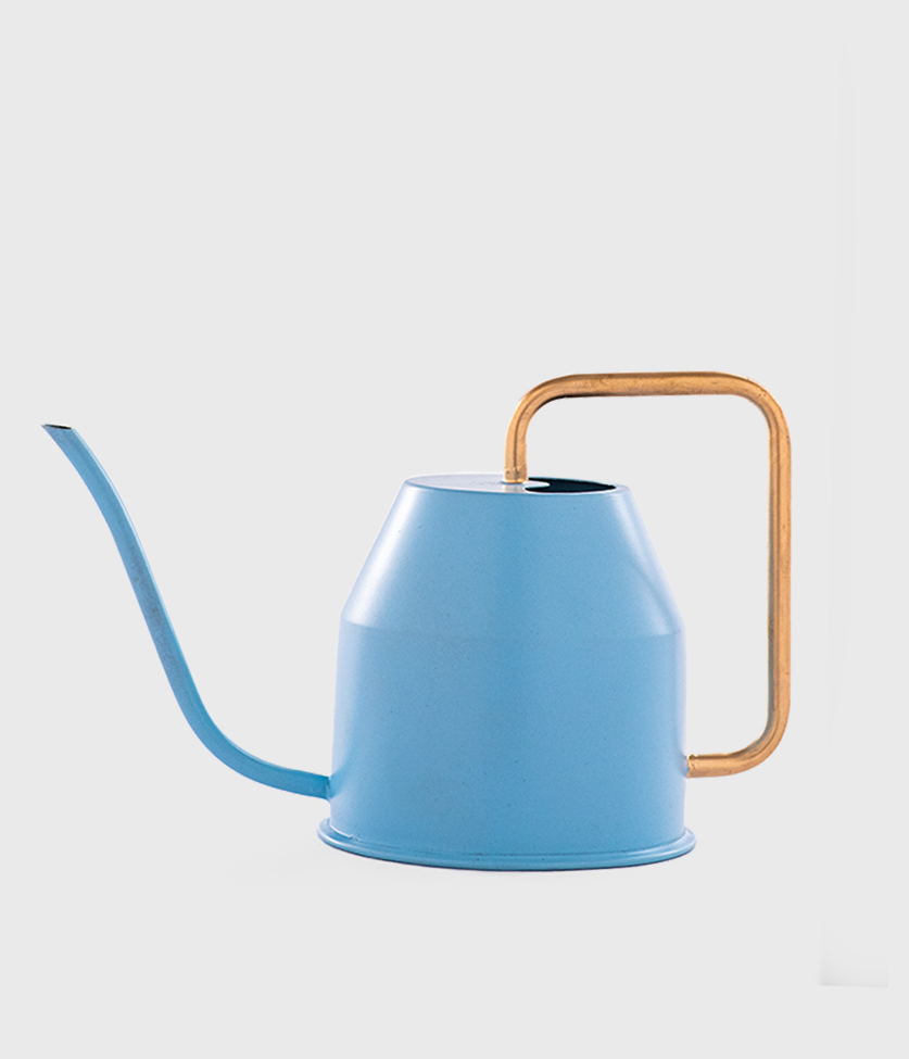 Blue Watering Can