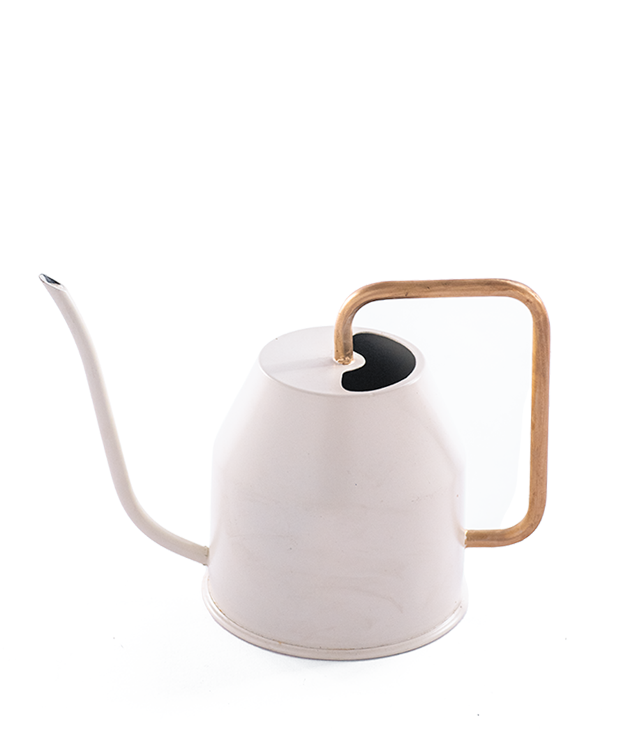 Watering Can/Kettle In Ivory/Gold Colour