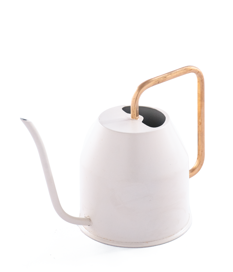 Watering Can/Kettle In Ivory/Gold Colour