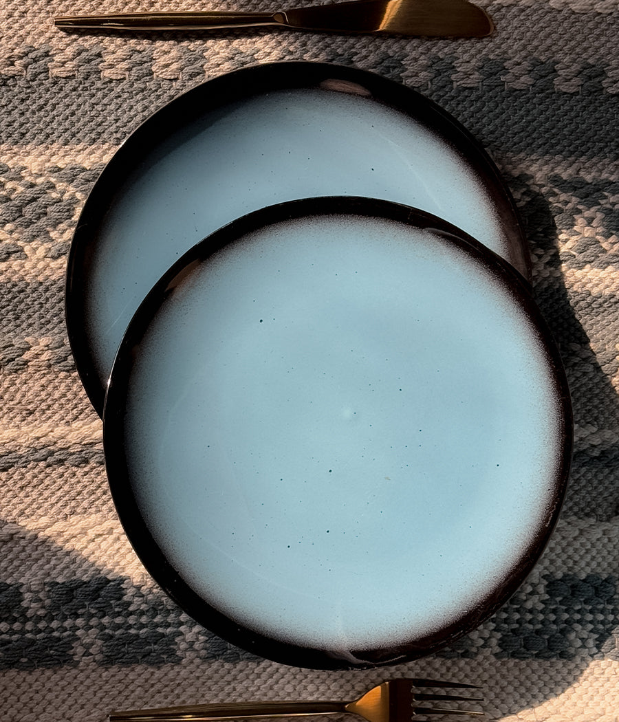 Blue Oblong Dinner Plates