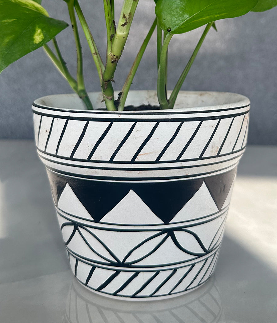 Money Plant in Geometric hand Panited Planter