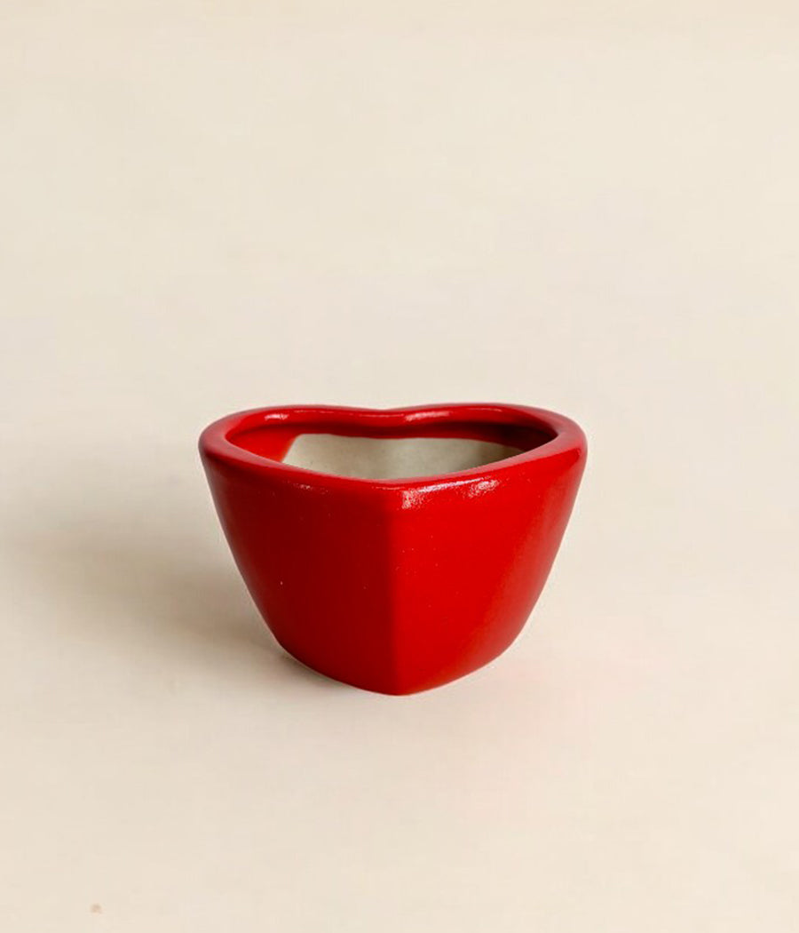 Small Heart Shaped Ceramic Planter