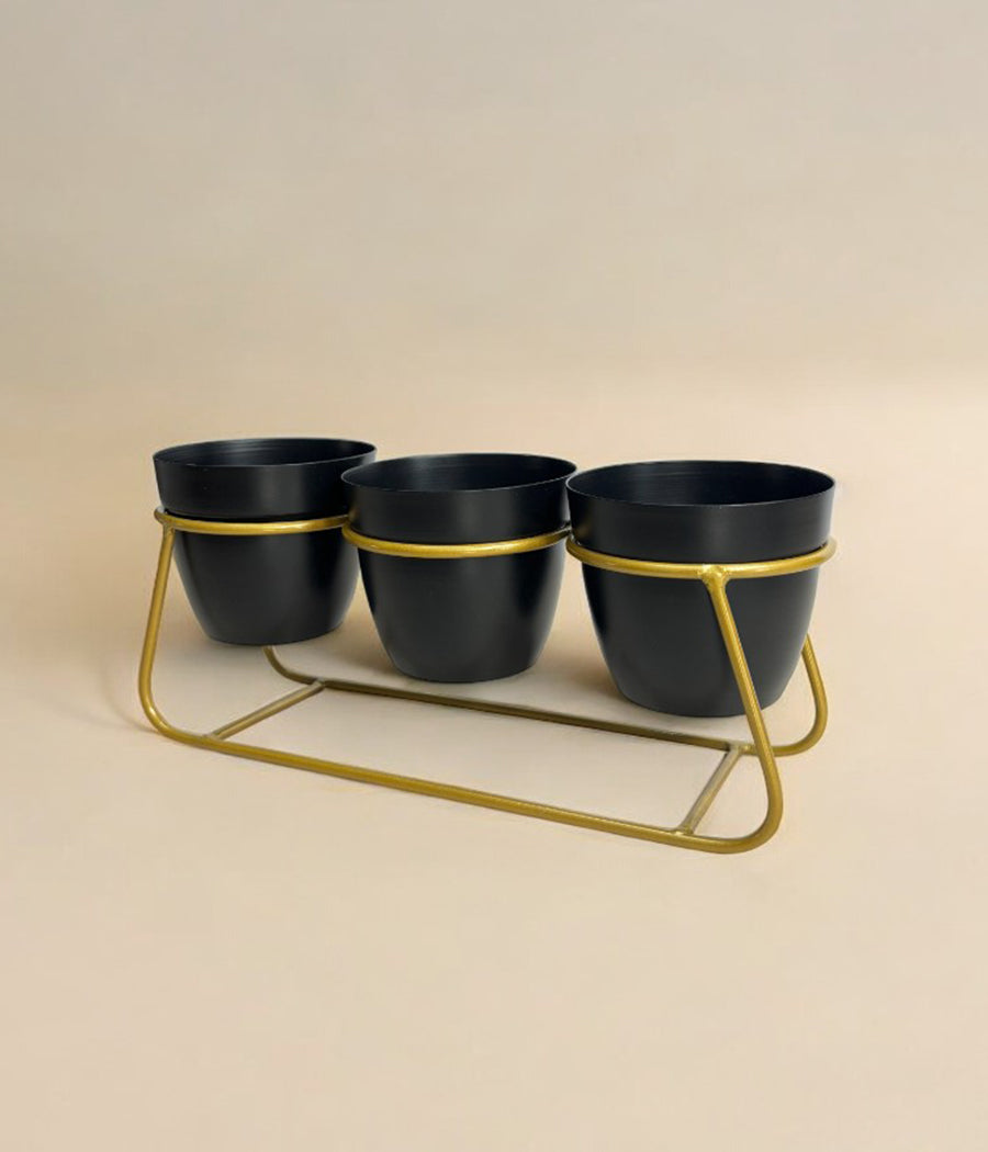 Desktop Pot Trio