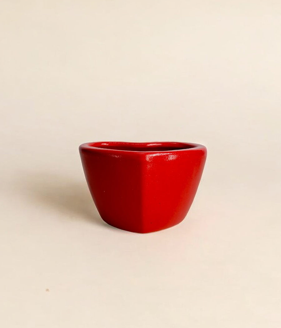 Small Heart Shaped Ceramic Planter