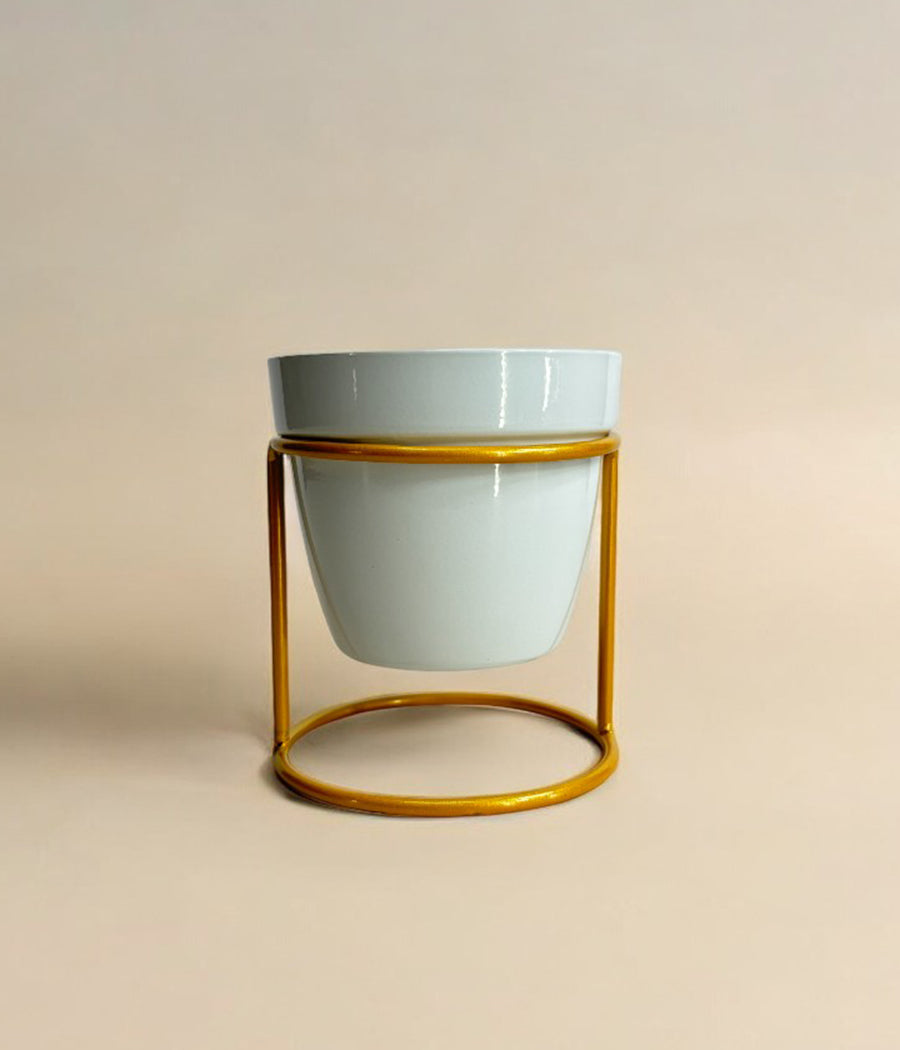 Single Mini Desk Planter With Golden Stand