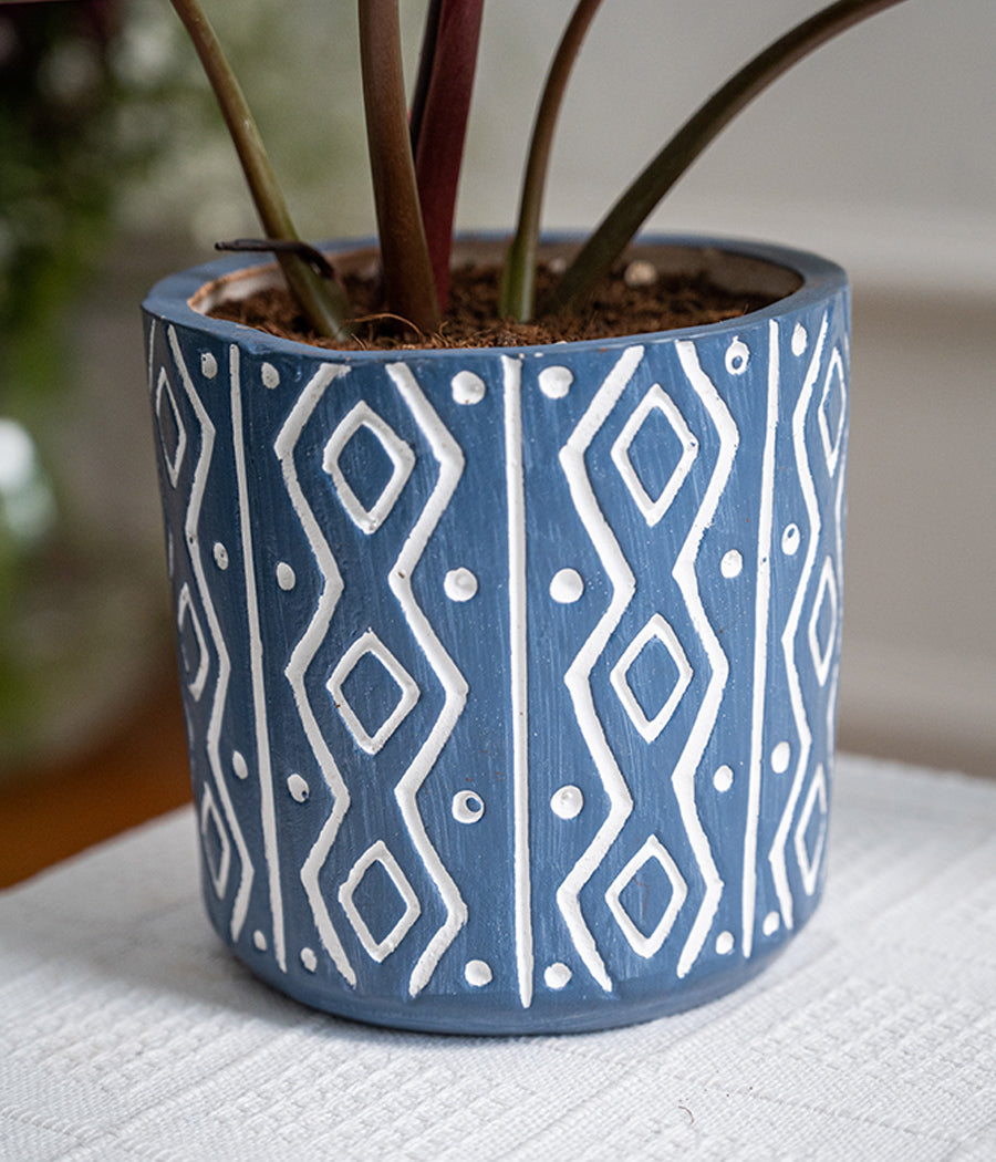 Philodendron Red in Tribal Ceramic Planter